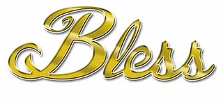 tl_files/Casos Exito/ORGANIZACION BLESS/LOGO BANNER.jpg