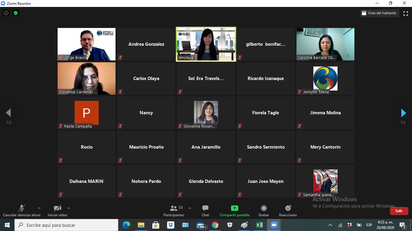 tl_files/images/Eventos 2020/WEBINAR BUEN GOBIERNO CORPORATIVO/FOTO 5 CAMARAPACIFICO.jpg