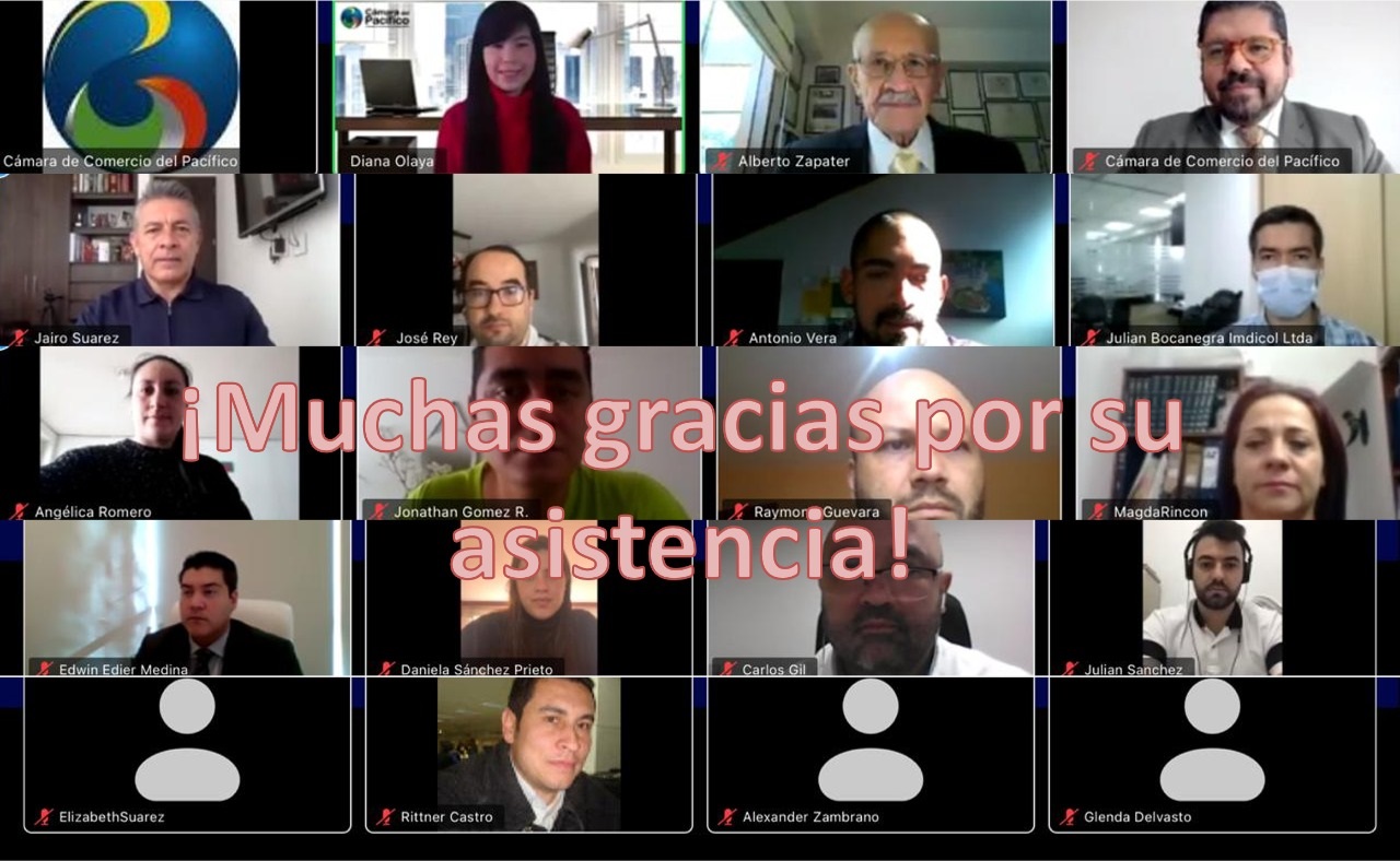 tl_files/images/Eventos 2020/WEBINAR CONTRATACION ESTADO PANAMENO/ALIANZAPACIFICO-5.jpg