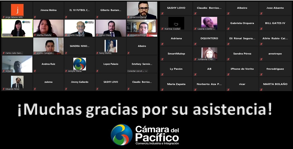 tl_files/images/Eventos 2020/WEBINAR EXPORTACION DE SERVICIOS/FOTO CAMARADELPACIFICO 5.jpg