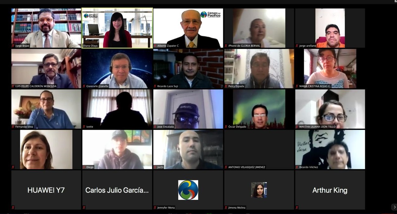 tl_files/images/Eventos 2020/WEBINAR IDEAS DISRUPTIVAS/DELPACIFICO 4.jpg
