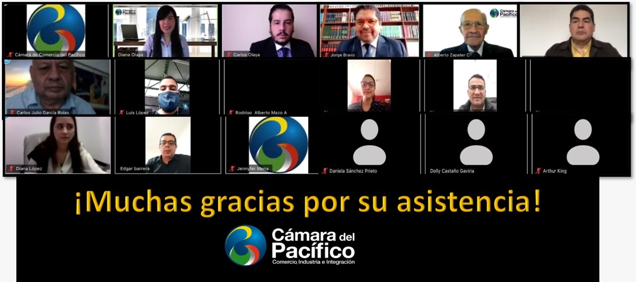 tl_files/images/Eventos 2020/WEBINAR: MODALIDADES DE CONTRATACION/FOTO CCPACIFICO 2.jpg