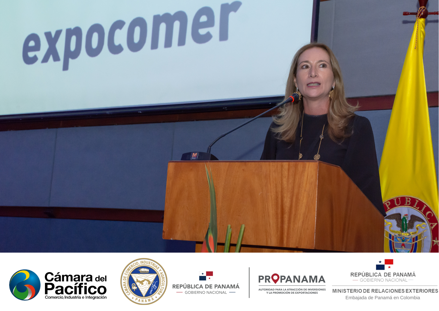 tl_files/images/Eventos 2021/FERIAS INTERNACIONALES/LANZAMIENTO EXPOCOMER 2022/FOTOS COCTEL/FOTOS COCTEL - 7 DE OCTUBRE 2021 (26).png
